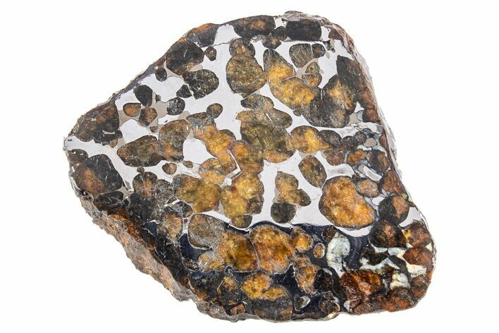 Polished Sericho Pallasite Meteorite ( g) Slice - Kenya #300769